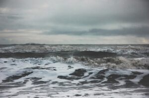 Источник фото: ru.freepik.com