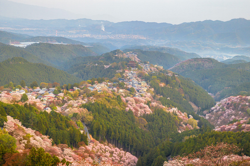 Mount Yoshino