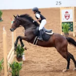 मो. आमेर शाहनवाज ने तेलंगाना राज्यस्तरीय इक्वेस्टेरियन प्रतियोगिता में शो जम्पिंग चिल्ड्रन्स-1 में प्रथम स्थान जीता।