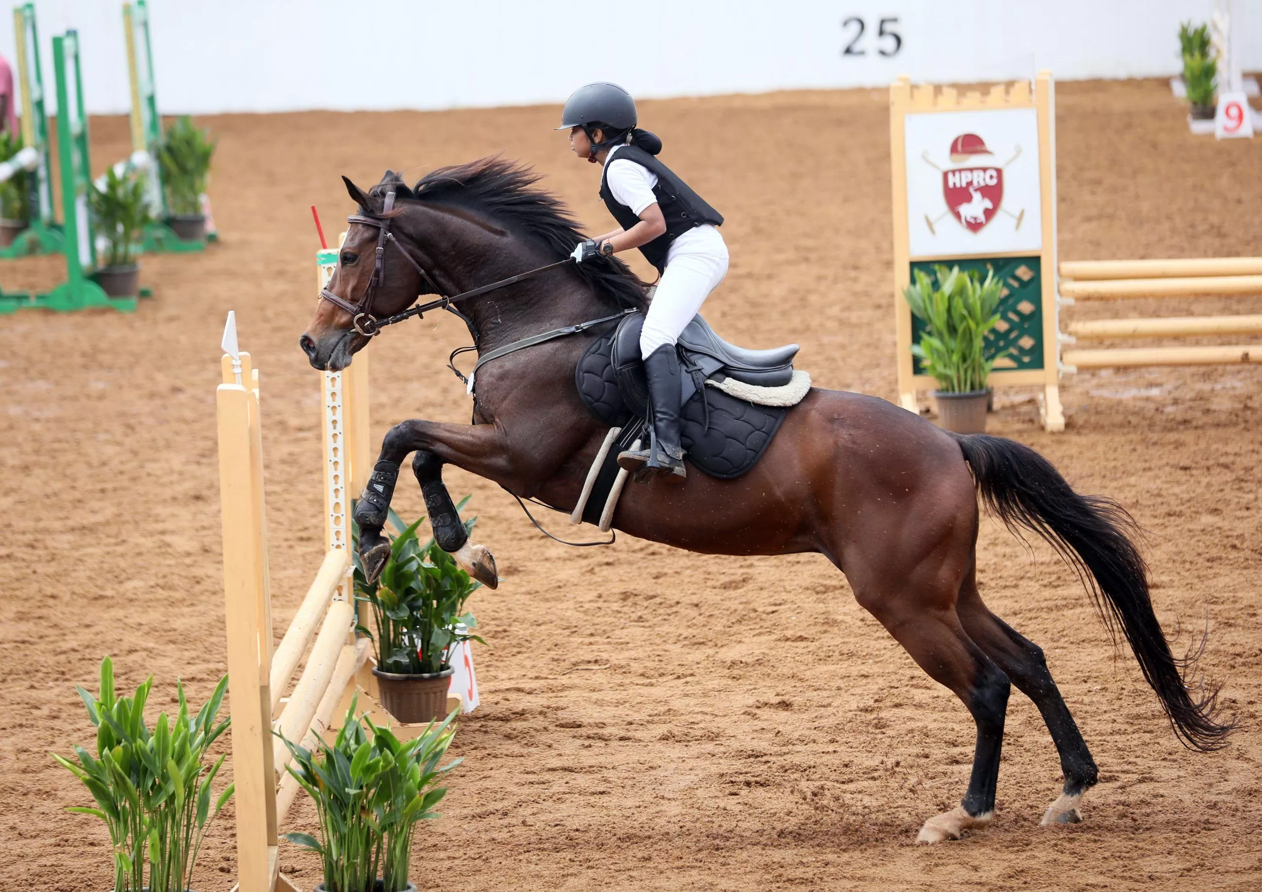 मो. आमेर शाहनवाज ने तेलंगाना राज्यस्तरीय इक्वेस्टेरियन प्रतियोगिता में शो जम्पिंग चिल्ड्रन्स-1 में प्रथम स्थान जीता।