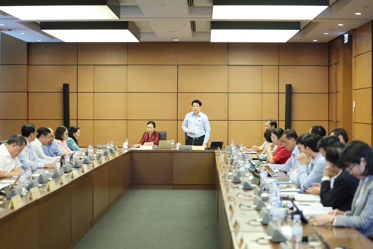 Chủ tịch nước Lương Cường phát biểu tại tổ 2 - Đoàn đại biểu Quốc hội TP.HCM - Ảnh: Q.P.