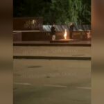 Фото t.me/ustlabinsk_nash_gorod