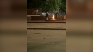 Фото t.me/ustlabinsk_nash_gorod