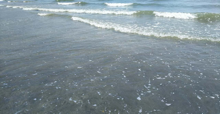 Body found off Tsukuihama Beach in Yokosuka identified as boat shop employee who went to rescue customer at Nohi Beach.