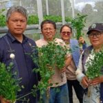 Wabup Taput Deni Lumbantoruan meresmikan Green House berbasis Internet of Things di Pagaran. (istimewa)