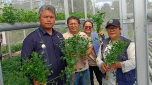 Wabup Taput Deni Lumbantoruan meresmikan Green House berbasis Internet of Things di Pagaran. (istimewa)