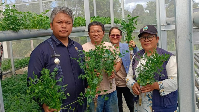 Inauguration d&rsquo;une serre connectée par IoT à Pagaran