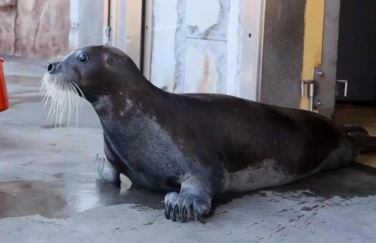 Фото t.me/Moscowzoo_official