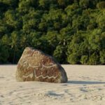 عاجل: 5 ملايين ريال وجزيرة خاصة.. تفاصيل مسابقة "سنام" للإبل 2025 1