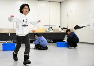 Participants pretending to be parent black-tailed gulls carrying food