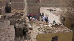 شددت وزارة الزراعة على أن النمل الأبيض يتغذى فقط على مادة “السليلوز” الموجودة في الأخشاب والمنسوجات - غيتي/ أرشيف