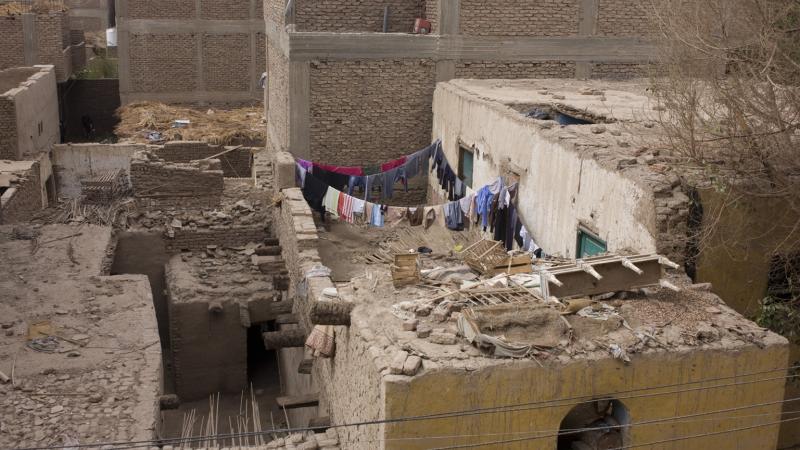 شددت وزارة الزراعة على أن النمل الأبيض يتغذى فقط على مادة “السليلوز” الموجودة في الأخشاب والمنسوجات - غيتي/ أرشيف