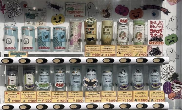 ¿Por qué aquí? Investigando la máquina expendedora de insectos en Kannai CELTE [Parte 1]