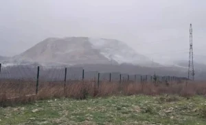 Фото t.me/Gavrikovzam