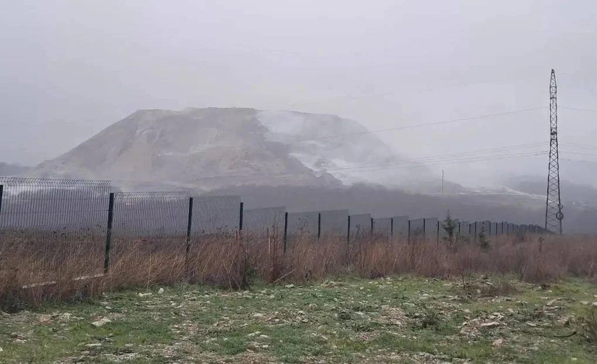 Фото t.me/Gavrikovzam