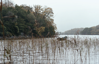 River levels in Kuban are within normal range
