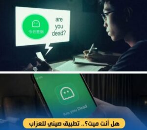«هل أنت ميت؟».. تطبيق صيني يتحدى الوحدة وينقذ من يعيشون بمفردهم 1