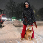 Снегопад начался в ночь на 9 января