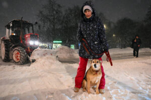Снегопад начался в ночь на 9 января