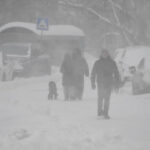 Фото: Анатолий Жданов, Коммерсантъ