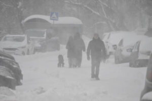 Фото: Анатолий Жданов, Коммерсантъ