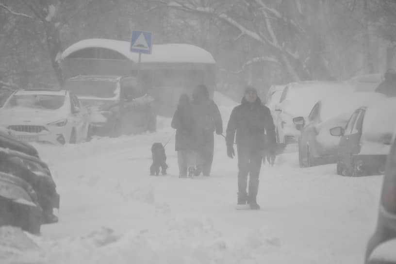 Фото: Анатолий Жданов, Коммерсантъ