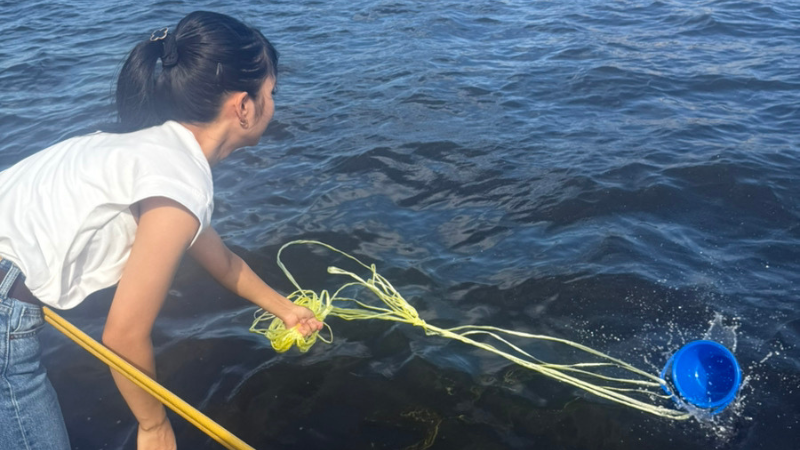 [Hamarepo Revival Commemorative Special Feature] Which river in Yokohama has the tastiest water?