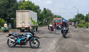 Para pengendara melintasi jalan berlubang yang ditanami pohon di Jalan Ngawi – Solo pada Sabtu (17/1/2026). Foto : Asep Syaeful Bachri/Jawa Pos Radar Ngawi