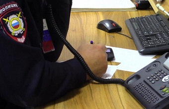 يتم التحقق من معلومات عن رجل يضرب كلبًا بقدميه في سوتشي