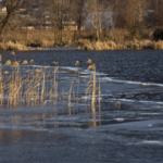 Источник фото: wirestock / ru.freepik.com