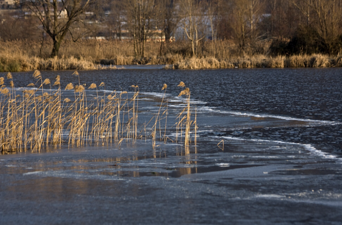 Источник фото: wirestock / ru.freepik.com