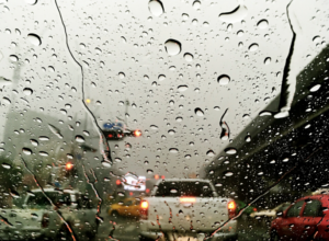 Источник фото: rawpixel.com / ru.freepik.com