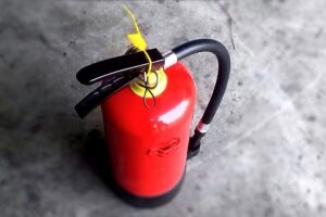 Источник фото: unsplash.com
