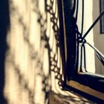 Источник фото: ru.freepik.com