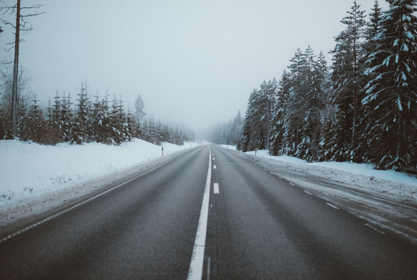 Фото freepik.com