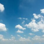 Источник фото: evening_tao/ru.freepik.com