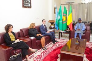 استقبل وزير الخارجية المالي عبد الله ديوب (يمين) الشهر الماضي رئيس مكتب الشؤون الأفريقية في وزارة الخارجية الأمريكية، نيك تشيكر (وزارة الخارجية المالية)