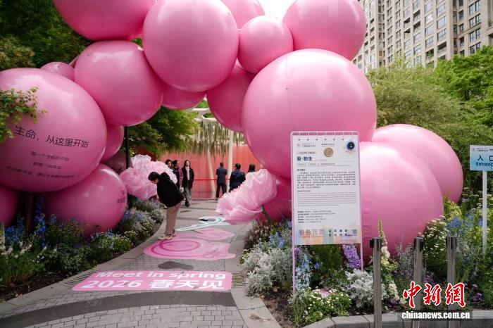 “爱·新生”花园吸引众多路人驻足。(沈艳 摄)