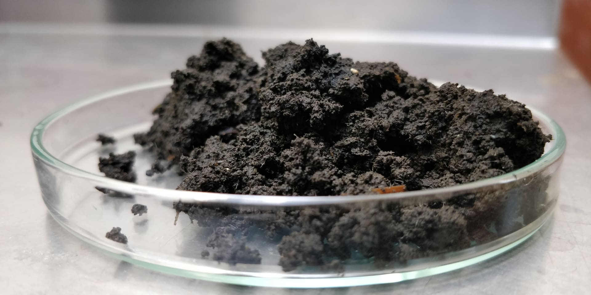 Planes running on feces... is this what awaits us in the future?