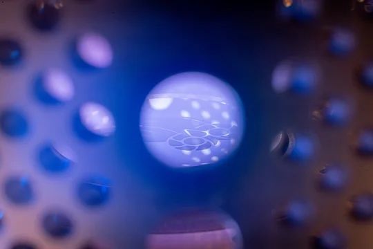 The idea to grow diamond into intricate shapes ⎯ including an owl, the university’s mascot ⎯ was prompted by wanting to have a special keepsake to give to distinguished guests. (Photo by Jorge Vidal/Rice University)