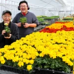 谷口誠さん（左）と春木慎平さんが育てたマリーゴールドなど