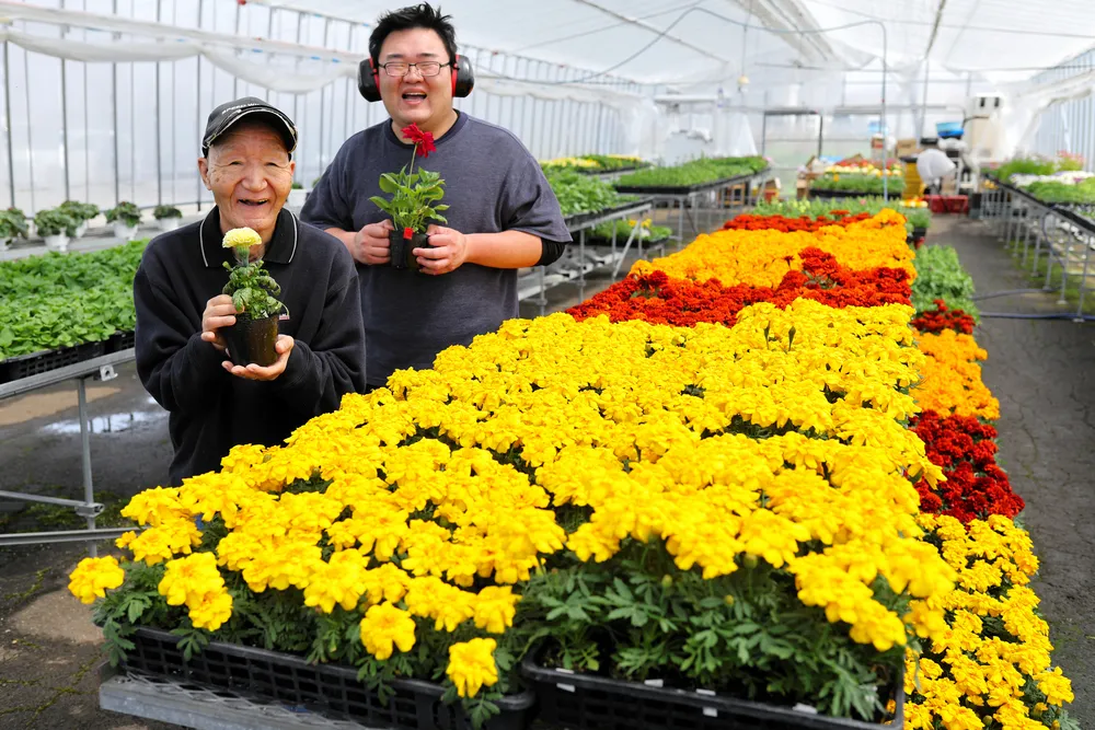 谷口誠さん（左）と春木慎平さんが育てたマリーゴールドなど