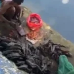 Foto: 5 pria di Jakpus kepergok cari ikan sapu-sapu untuk dijual diamankan Satpol PP (dok. Antara)