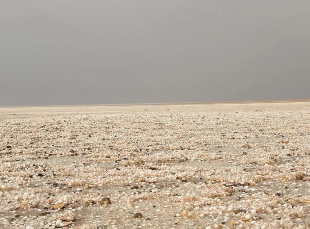 مصحوبة بالبرد.. هطول أمطار غزيرة شرق محافظة طريف 1