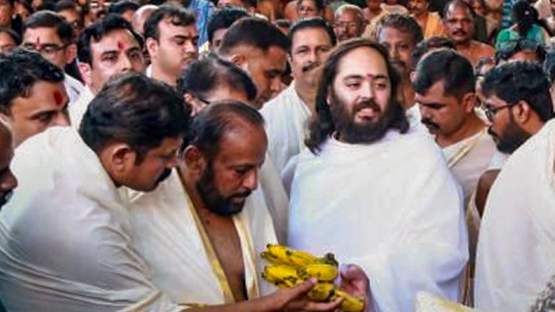 Особый пир для коров и слонов на день рождения Ананта Амбани