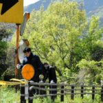 ＩＴ関連会社代表が逮捕された死体遺棄事件で、遺体を捜索する警視庁捜査員ら=2026年4月18日午後1時49分、神奈川県相模原市、平川仁撮影