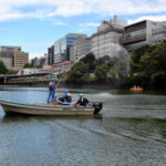 外濠（そとぼり）のひとつ、市ケ谷濠で2024年10月に開かれた水質改善対策の見学会=東京都千代田区、石平道典撮影