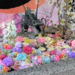 札幌諏訪神社 レインボーカラーのカーネーションなどが浮かぶ華やかな手水鉢。桜の枝も彩りを添えました