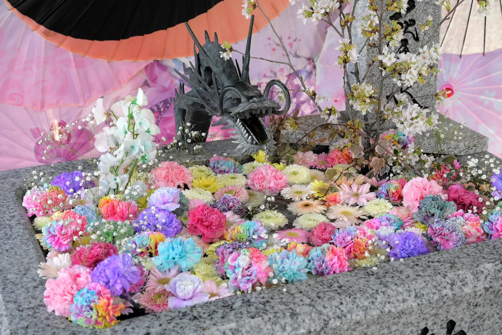 札幌諏訪神社 レインボーカラーのカーネーションなどが浮かぶ華やかな手水鉢。桜の枝も彩りを添えました