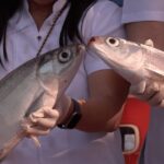 Image via GMA Regional TV One North Central Luzon